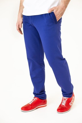 Спортивные брюки сине-фиолетовые задняя сторона